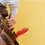 Handyman repair service in Spokane, WA for home fixes and improvements